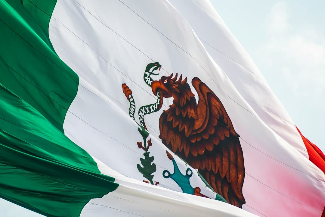 México, a robustecer la salud pública para enfrentar las próximas pandemias, coinciden expertos (imagen adicional)
